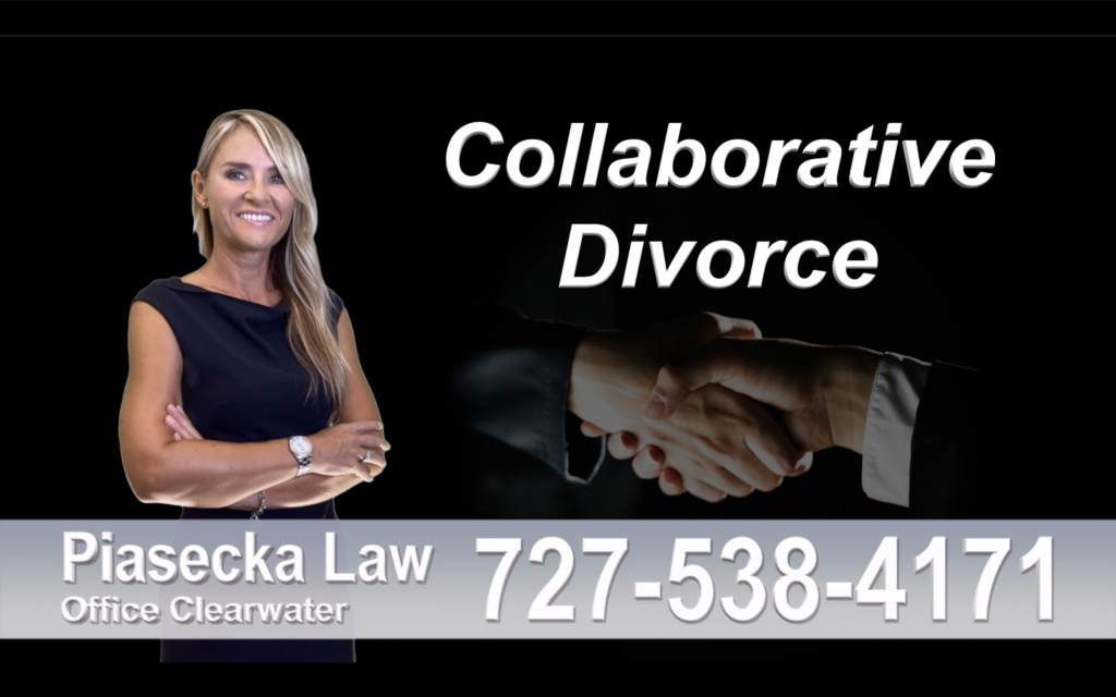 Divorce Immigration Tampa collaborative-divorce-attorney-agnieszka-piasecka-prawnik-rozwodowy-rozwod-adwokat-rozwodowy-najlepszy-best-collaborative-divorce-lawyer